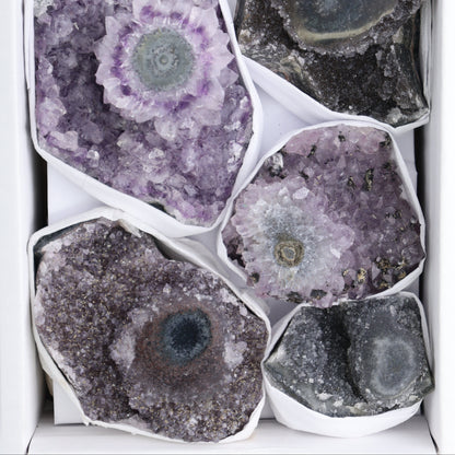 Uruguay Amethyst Clusters with "Eyes" Flat of 7 - Expert Wholesale and Supplier of Wholesale Crystals & Bulk Gemstones, ["Amethyst","Amethyst Eyes","Clusters","Uruguay"]