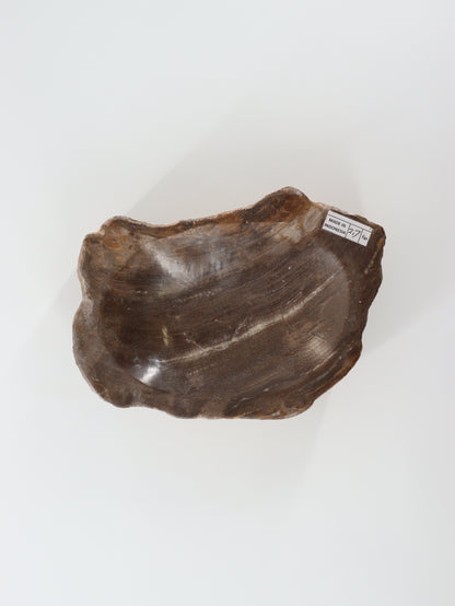 Petrified Wood Bowl - Expert Wholesale and Supplier of Wholesale Crystals & Bulk Gemstones, []