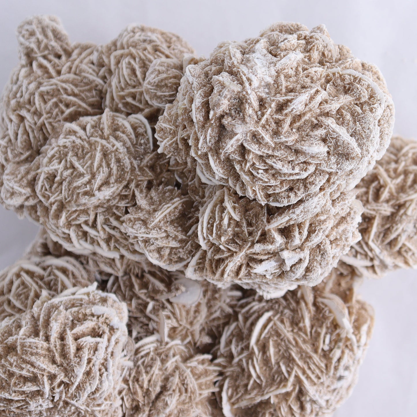 Desert Rose Cluster - Expert Wholesale and Supplier of Wholesale Crystals & Bulk Gemstones, ["Desert Rose","Freeforms"]