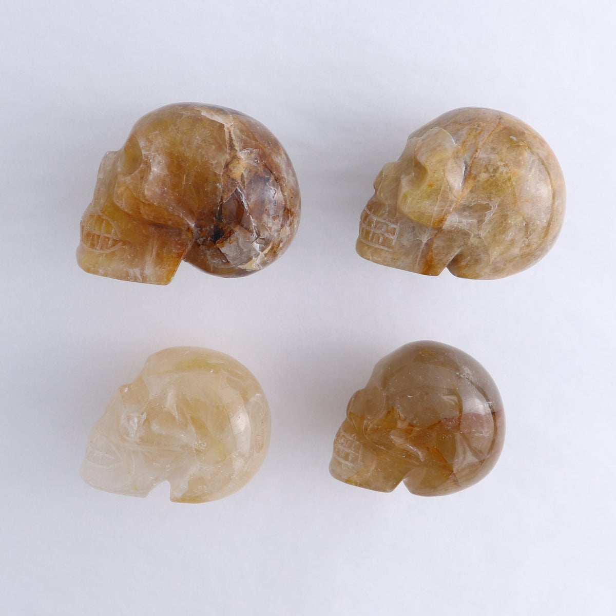 Golden Healer Skulls Set of 4