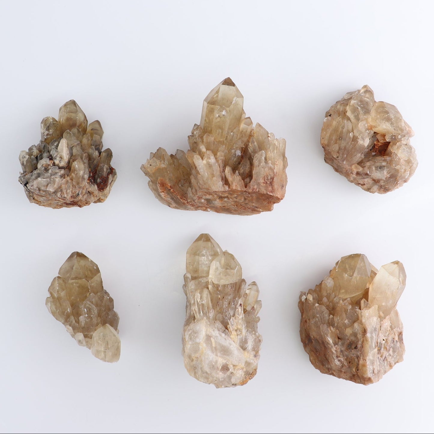 Congo Citrine Set of 12