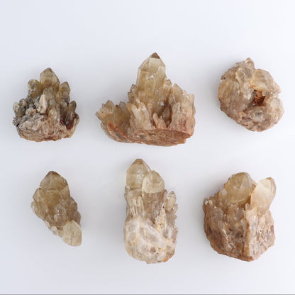 Congo Citrine Set of 12