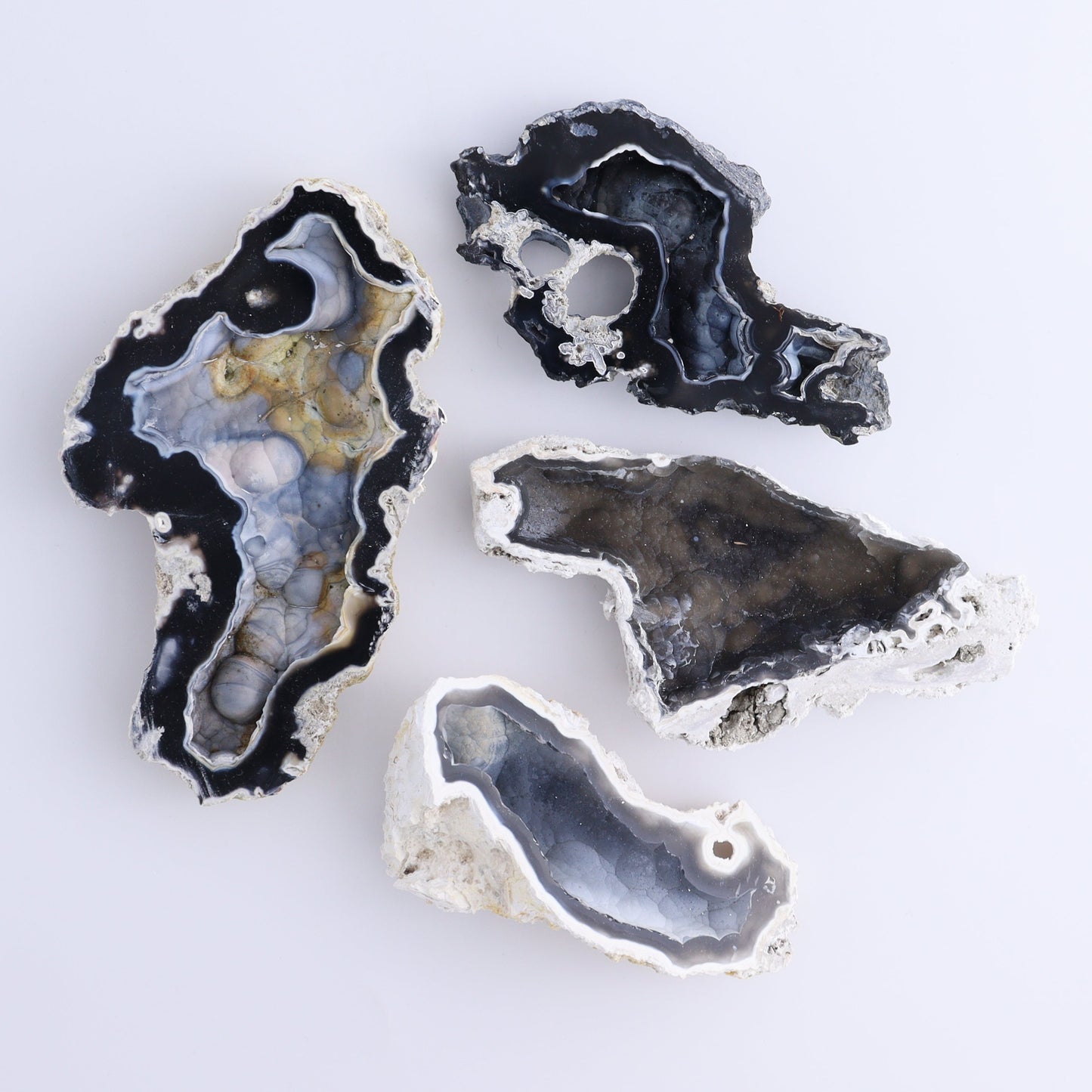 Agatized Coral Flat - Expert Wholesale and Supplier of Wholesale Crystals & Bulk Gemstones, ["Agate","Agatized Coral","Coral","United States"]