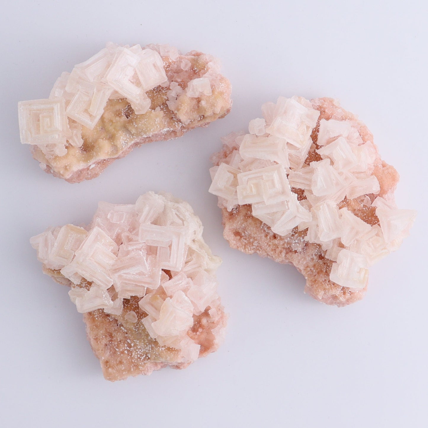 Searles Lake Halite Flat of 6 - Expert Wholesale and Supplier of Wholesale Crystals & Bulk Gemstones, ["Flats","Halite","United States"]