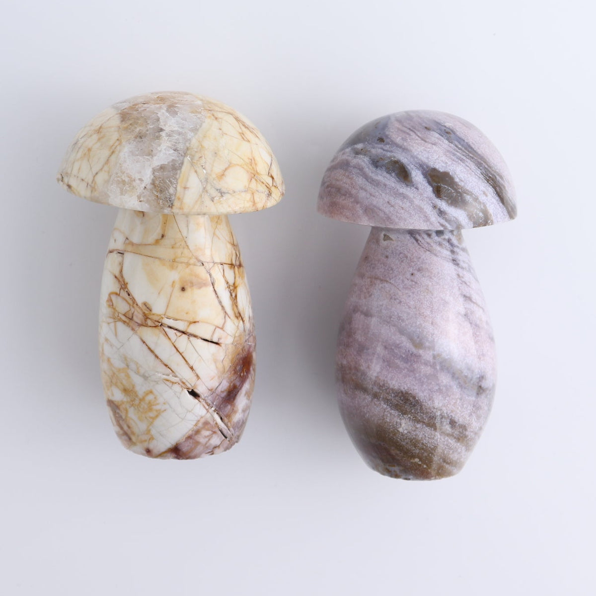 Jasper Mushrooms Set of 8