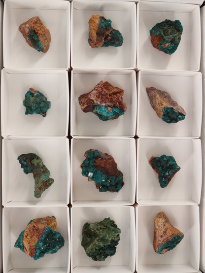 Dioptase Flat Set of 12