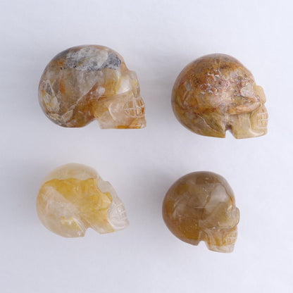 Golden Healer Skulls Set of 4