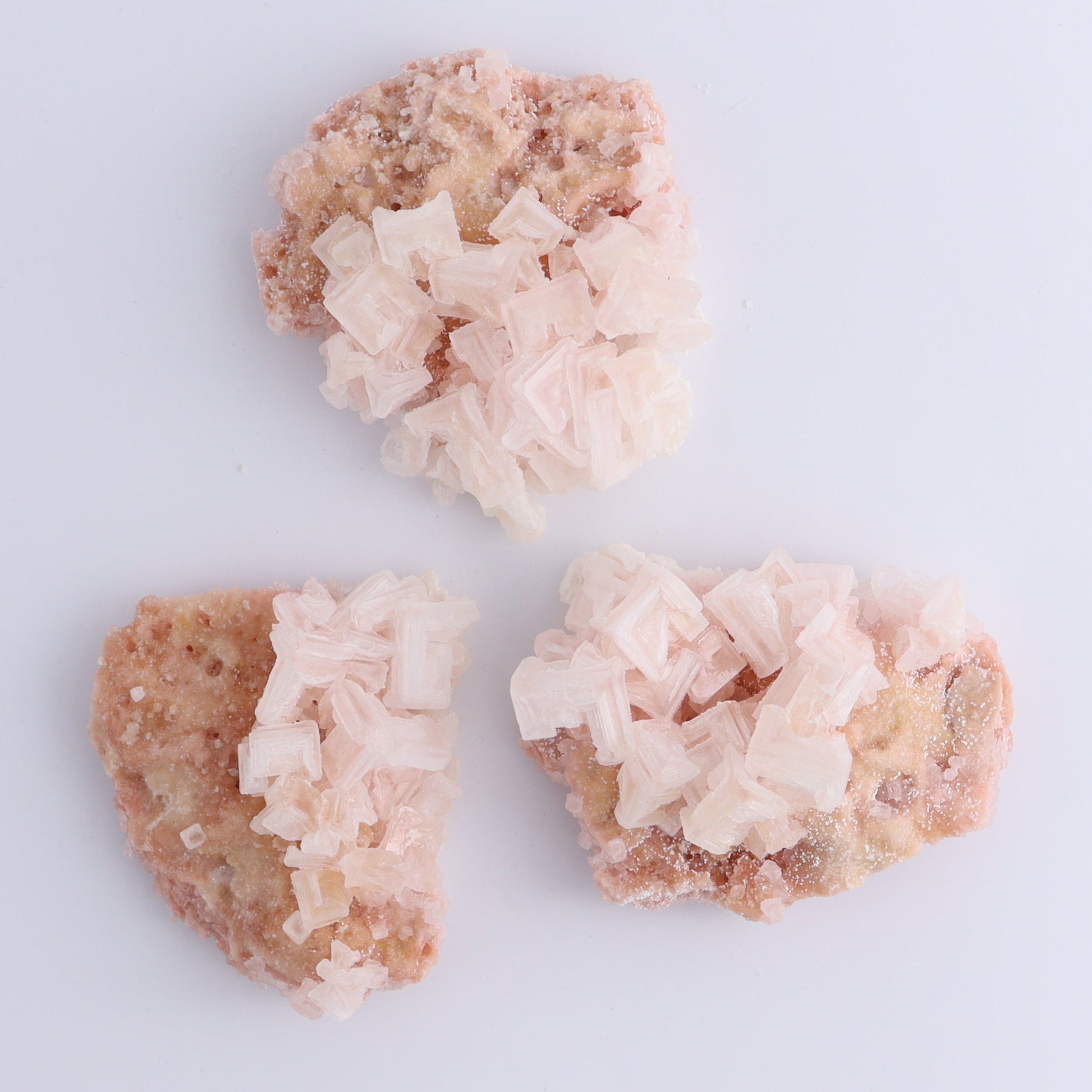 Searles Lake Halite Flat of 6 - Expert Wholesale and Supplier of Wholesale Crystals & Bulk Gemstones, ["Flats","Halite","United States"]