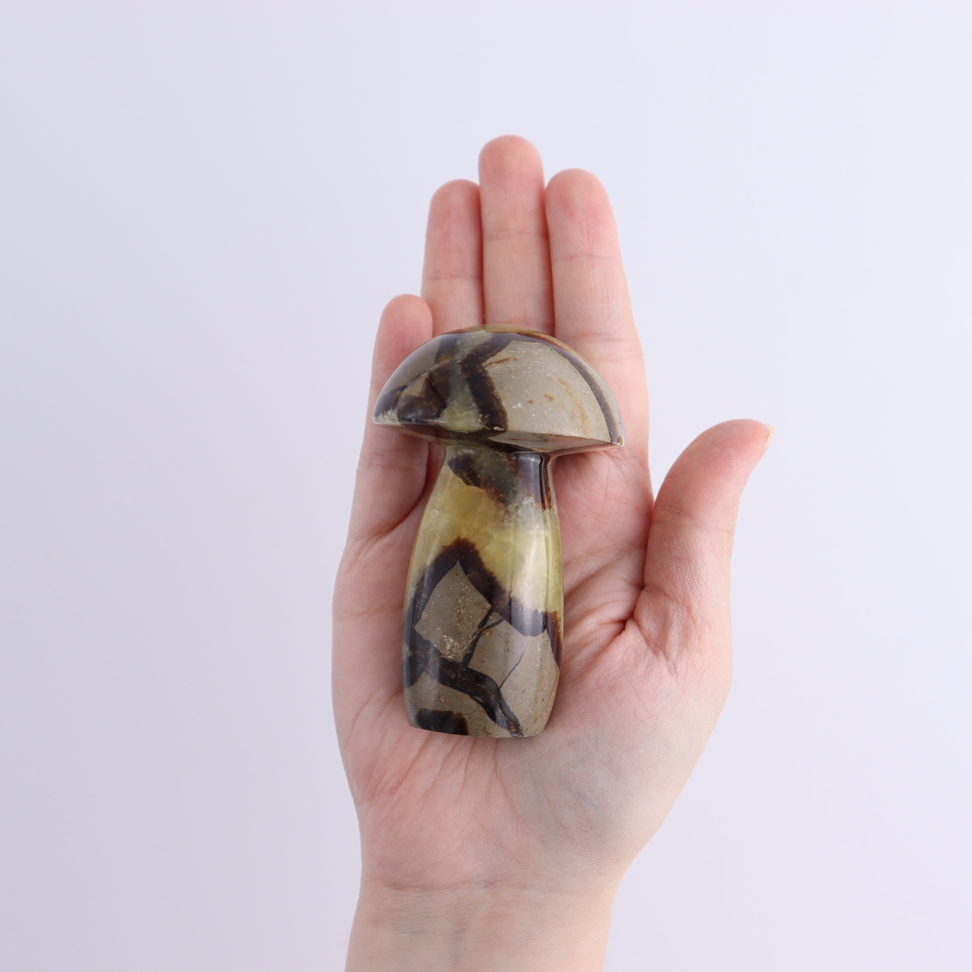Septarian Mushrooms Set of 6 - Expert Wholesale and Supplier of Wholesale Crystals & Bulk Gemstones, ["Mushrooms","Septarian"]