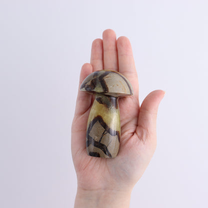 Septarian Mushrooms Set of 6 - Expert Wholesale and Supplier of Wholesale Crystals & Bulk Gemstones, ["Mushrooms","Septarian"]