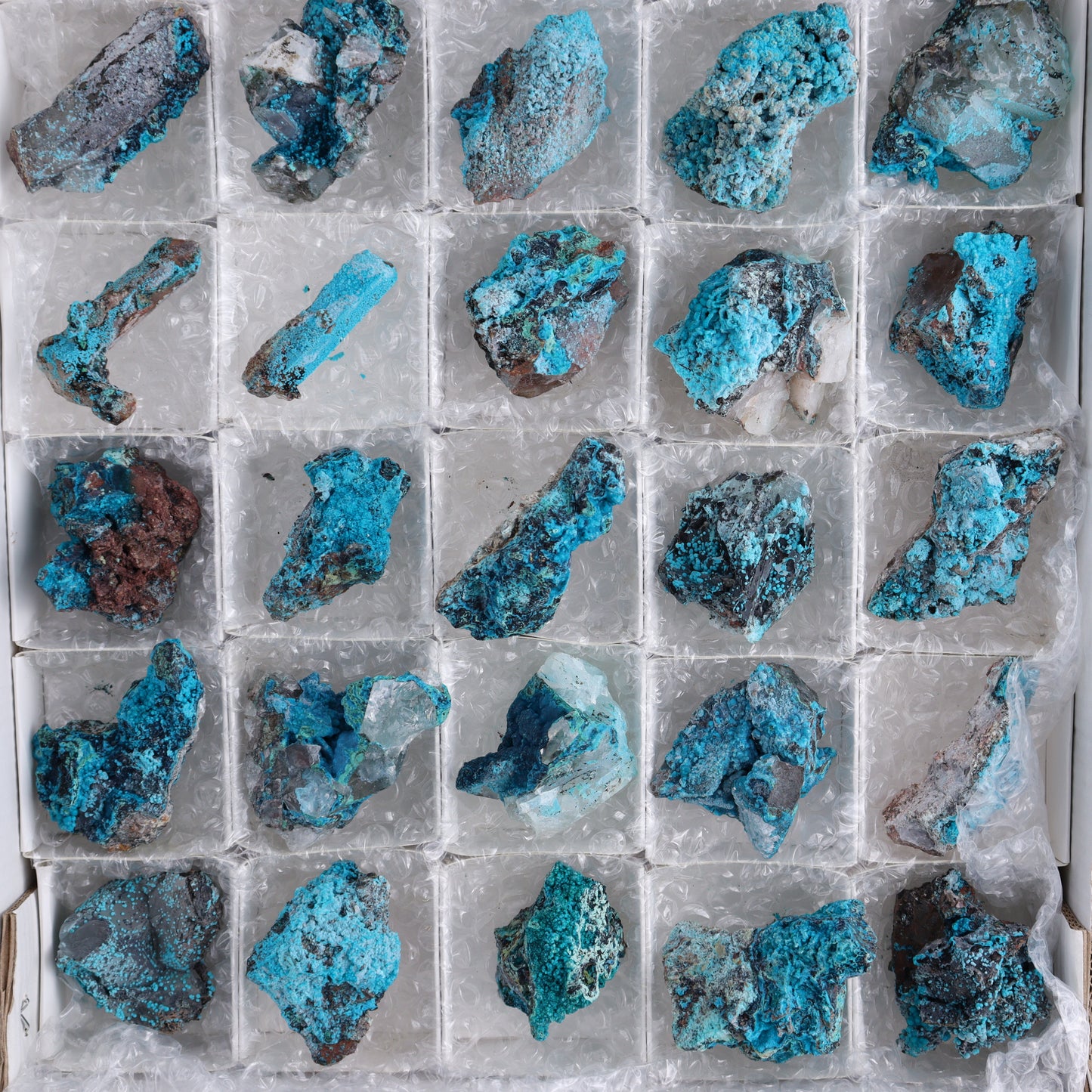 Chrysocolla on Quartz Roughs Set of 35