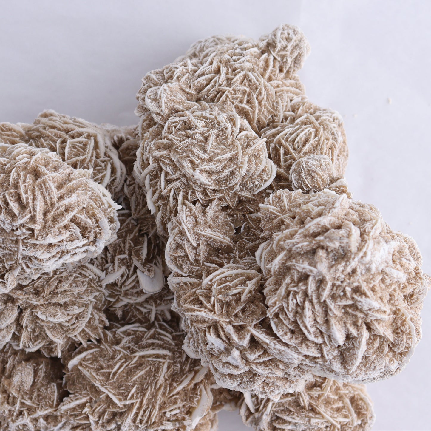 Desert Rose Cluster - Expert Wholesale and Supplier of Wholesale Crystals & Bulk Gemstones, ["Desert Rose","Freeforms"]
