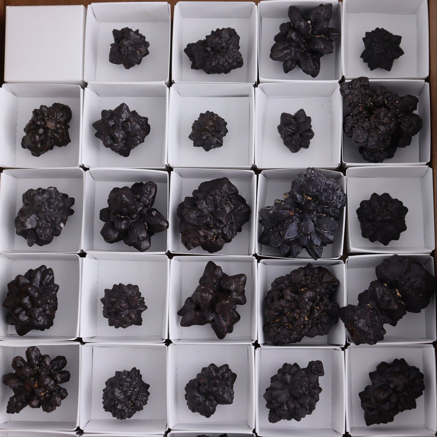 Egyptian Prophecy Stones Flat Set of 29 - Expert Wholesale and Supplier of Wholesale Crystals & Bulk Gemstones, ["Egypt","Freeforms","Prophecy Stone"]