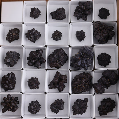 Egyptian Prophecy Stones Flat Set of 29 - Expert Wholesale and Supplier of Wholesale Crystals & Bulk Gemstones, ["Egypt","Freeforms","Prophecy Stone"]
