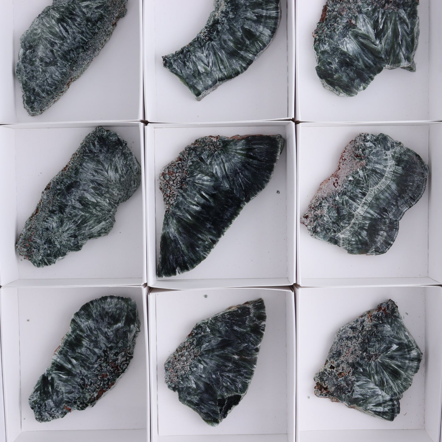 Seraphinite Slices Set of 12 - Expert Wholesale and Supplier of Wholesale Crystals & Bulk Gemstones, ["Seraphinite","Slices and Slabs"]