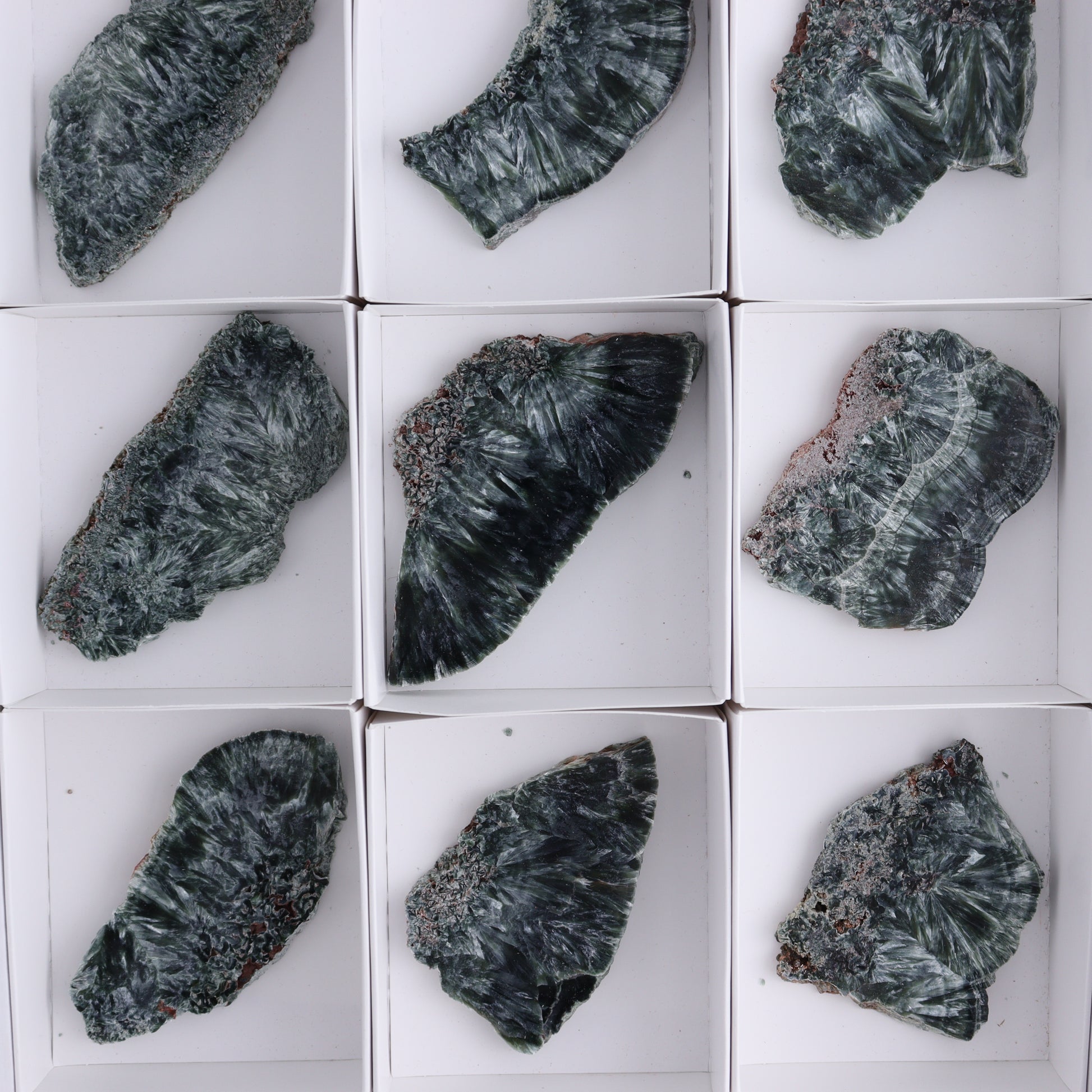 Seraphinite Slices Set of 12 - Expert Wholesale and Supplier of Wholesale Crystals & Bulk Gemstones, ["Seraphinite","Slices and Slabs"]