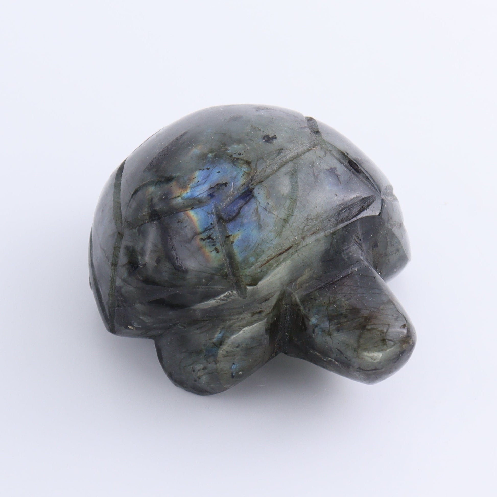 Labradorite Turtles Set of 4 - Expert Wholesale and Supplier of Wholesale Crystals & Bulk Gemstones, ["Labradorite","Madagascar","turtle","Turtles"]