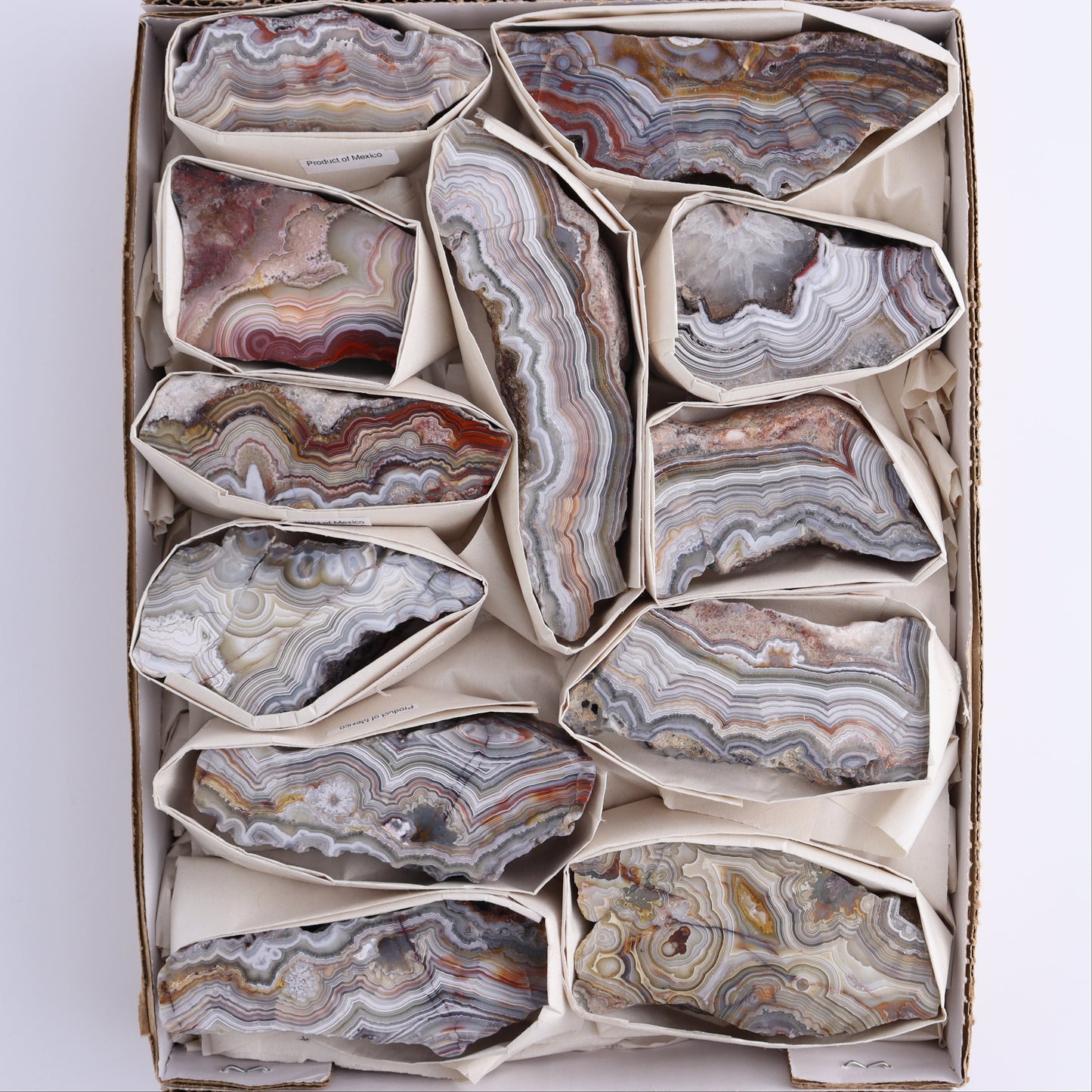 Crazy Lace Agate Flat of 12 - Expert Wholesale and Supplier of Wholesale Crystals & Bulk Gemstones, ["Crazy Lace Agate","Mexico"]