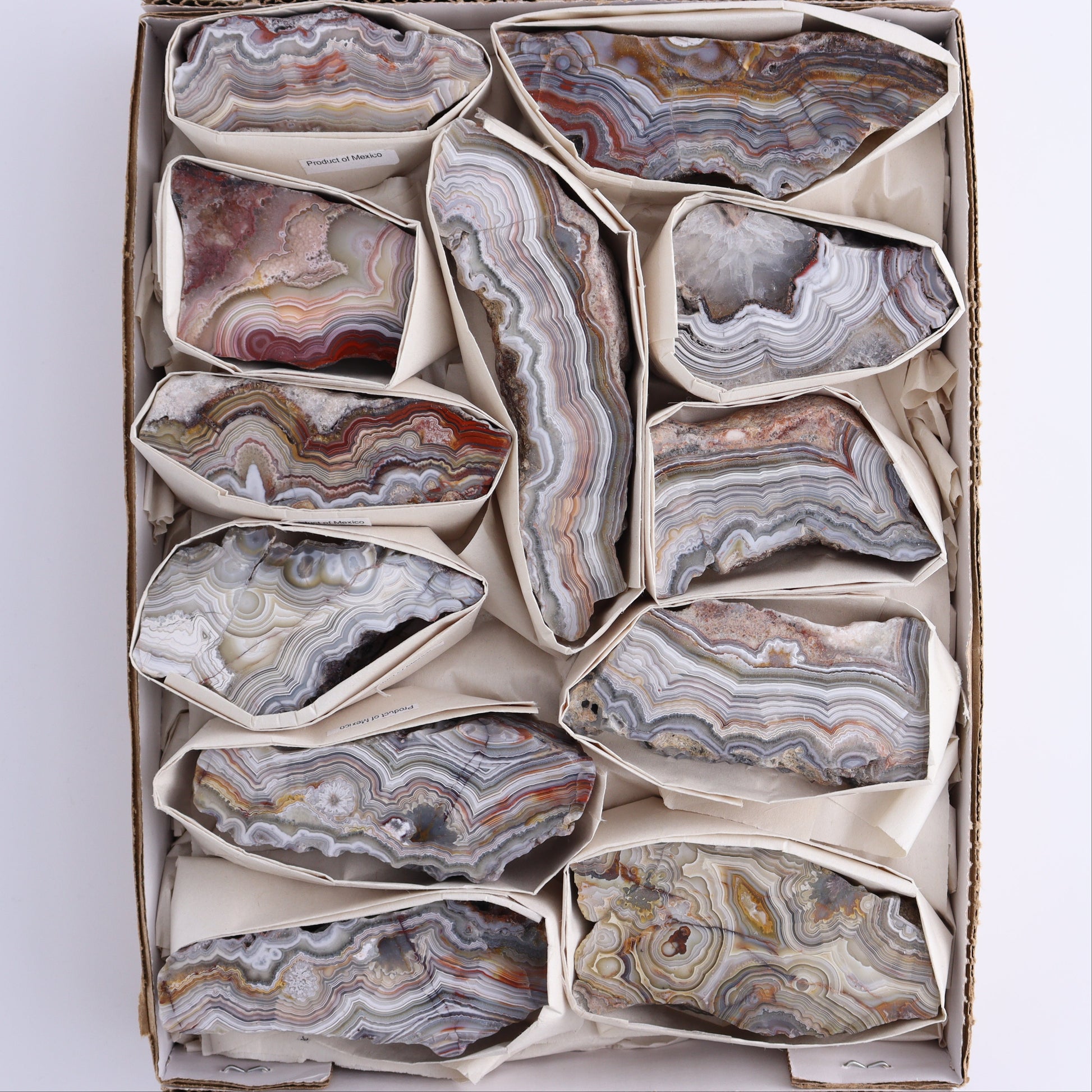 Crazy Lace Agate Flat of 12 - Expert Wholesale and Supplier of Wholesale Crystals & Bulk Gemstones, ["Crazy Lace Agate","Mexico"]