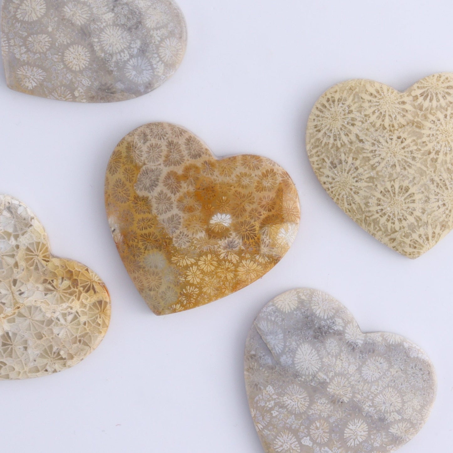 One Fossil Coral Heart Cab - Expert Wholesale and Supplier of Wholesale Crystals & Bulk Gemstones, ["Cabs","fossil coral","heart","Hearts"]