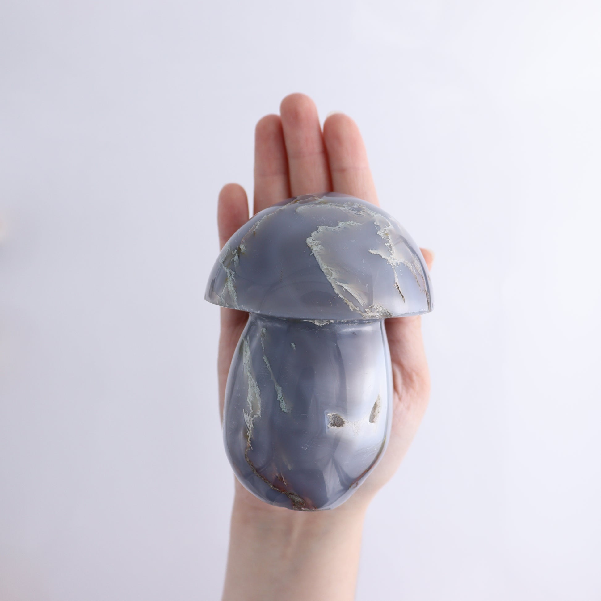 Agate Mushrooms Set of 6 - Expert Wholesale and Supplier of Wholesale Crystals & Bulk Gemstones, ["Agate","Madagascar","Mushrooms"]