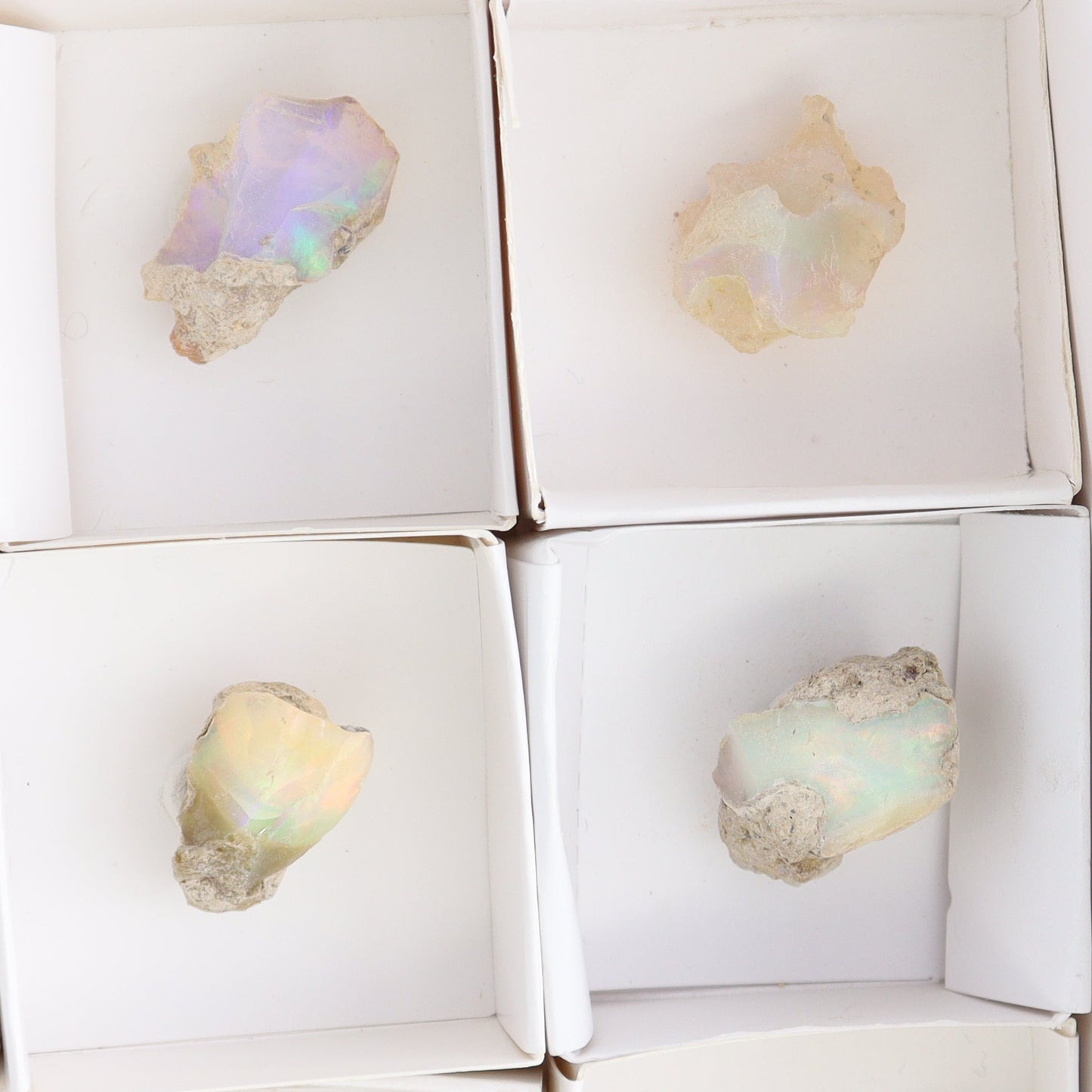 Ethiopian Opal Set of 11 - Expert Wholesale and Supplier of Wholesale Crystals & Bulk Gemstones, ["Ethiopia","ethiopian opal","Opal"]