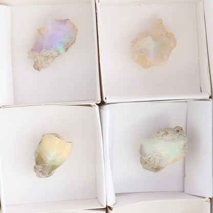 Ethiopian Opal Set of 11 - Expert Wholesale and Supplier of Wholesale Crystals & Bulk Gemstones, ["Ethiopia","ethiopian opal","Opal"]
