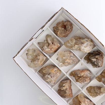 Congo Citrine Set of 12