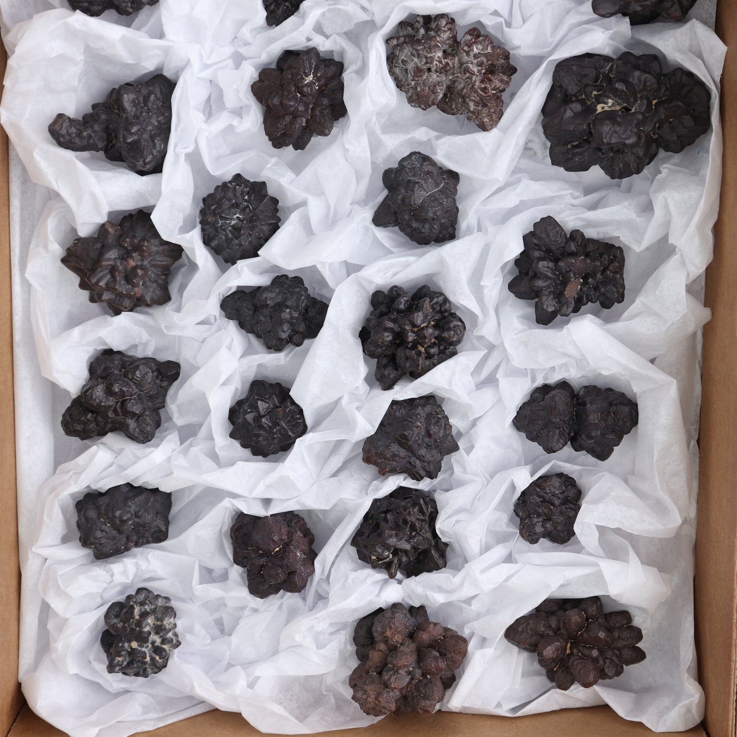 Egyptian Prophecy Stones Flat of 25