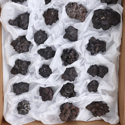 Egyptian Prophecy Stones Flat of 25
