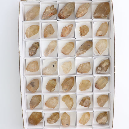 Congo Citrine Set of 35