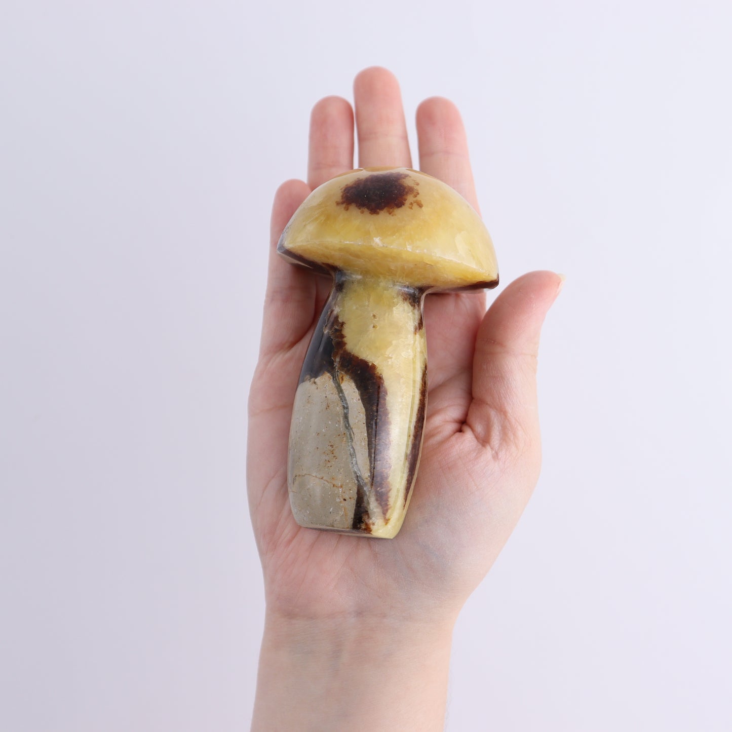 Septarian Mushrooms Set of 6 - Expert Wholesale and Supplier of Wholesale Crystals & Bulk Gemstones, ["Mushrooms","Septarian"]