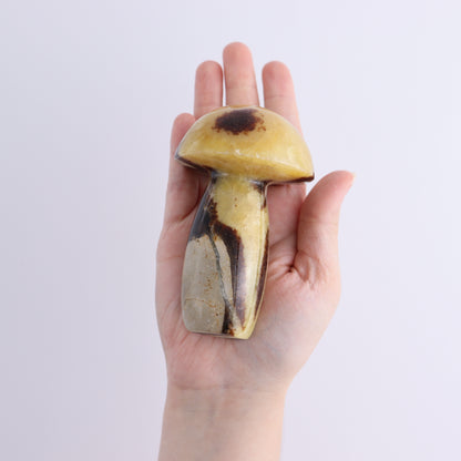 Septarian Mushrooms Set of 6 - Expert Wholesale and Supplier of Wholesale Crystals & Bulk Gemstones, ["Mushrooms","Septarian"]
