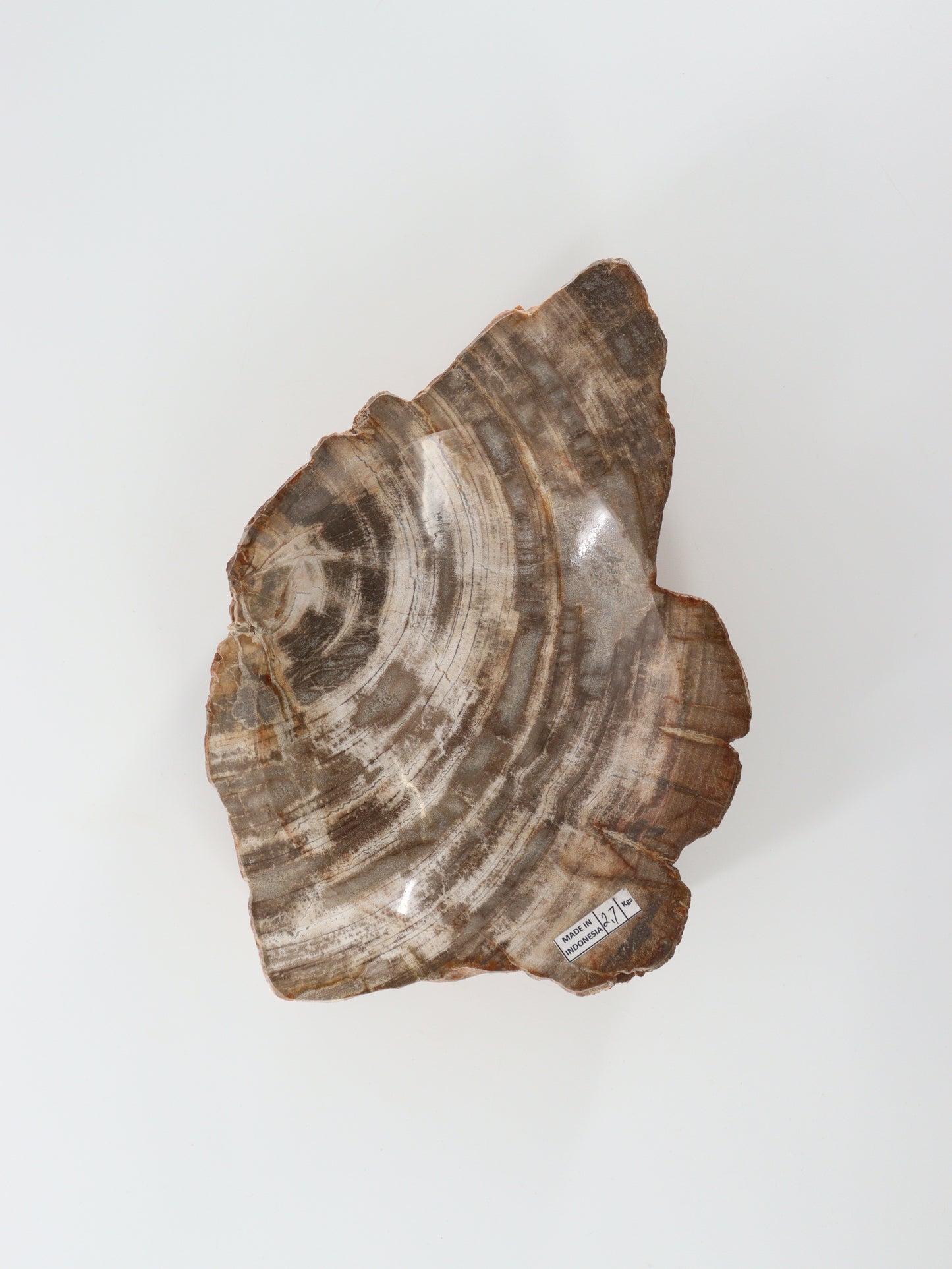 Petrified Wood Bowl - Expert Wholesale and Supplier of Wholesale Crystals & Bulk Gemstones, []
