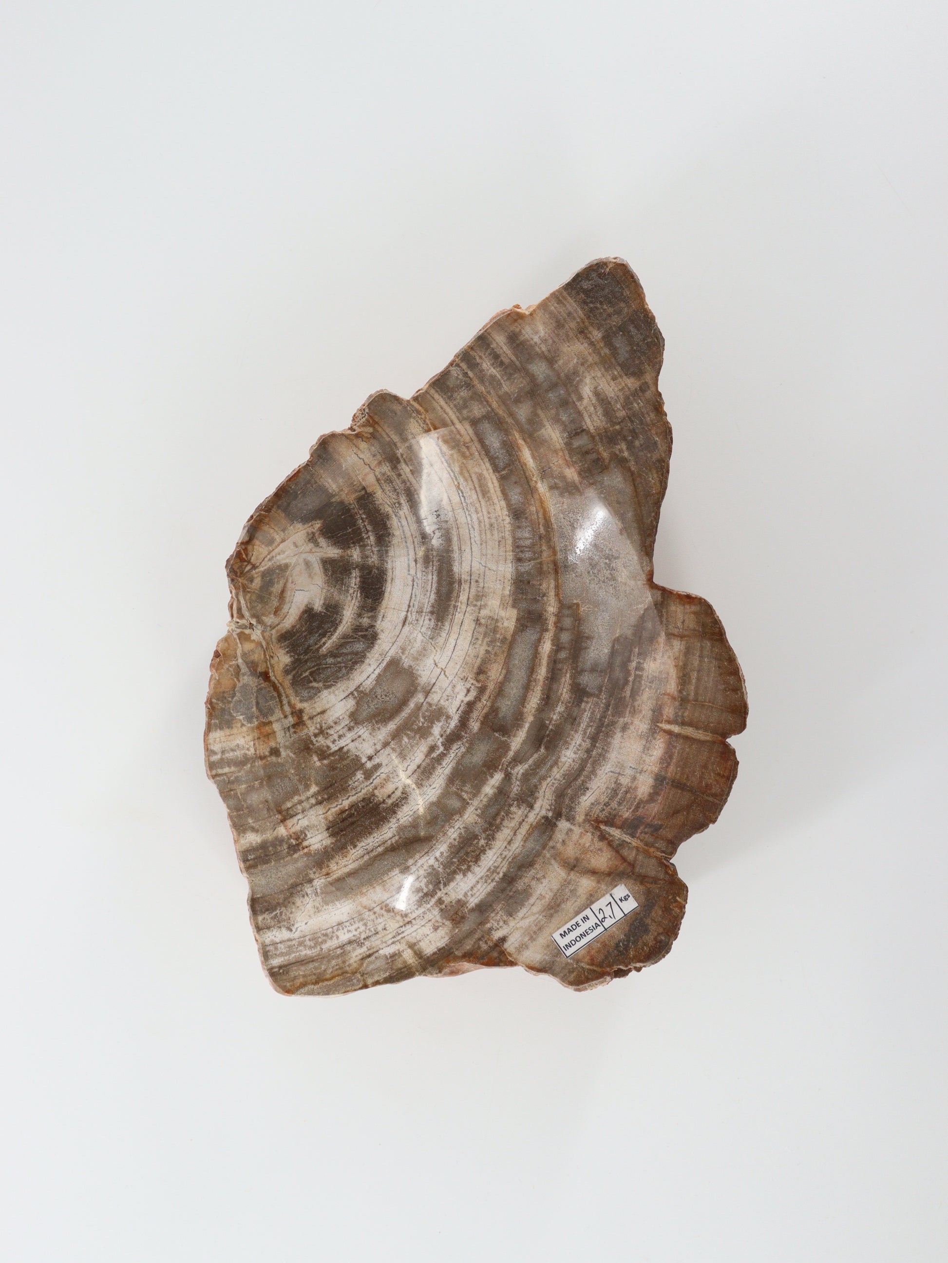 Petrified Wood Bowl - Expert Wholesale and Supplier of Wholesale Crystals & Bulk Gemstones, []