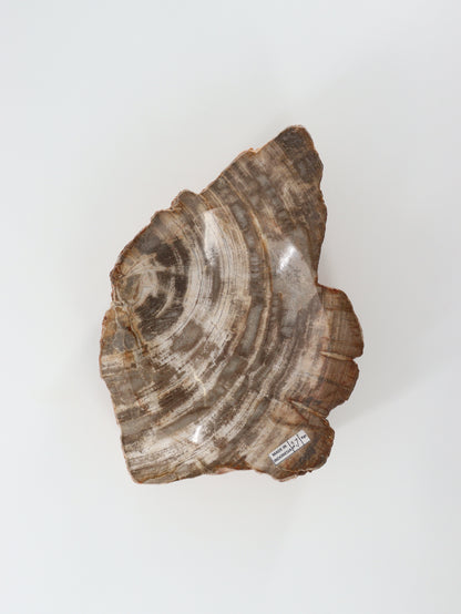 Petrified Wood Bowl - Expert Wholesale and Supplier of Wholesale Crystals & Bulk Gemstones, []