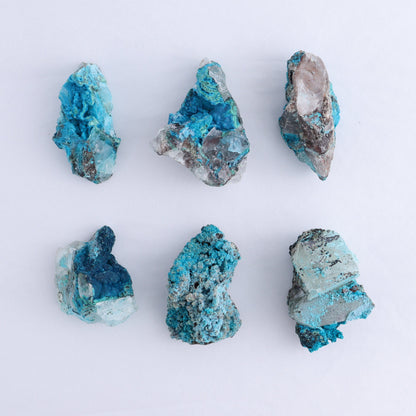 Chrysocolla on Quartz Roughs Set of 35