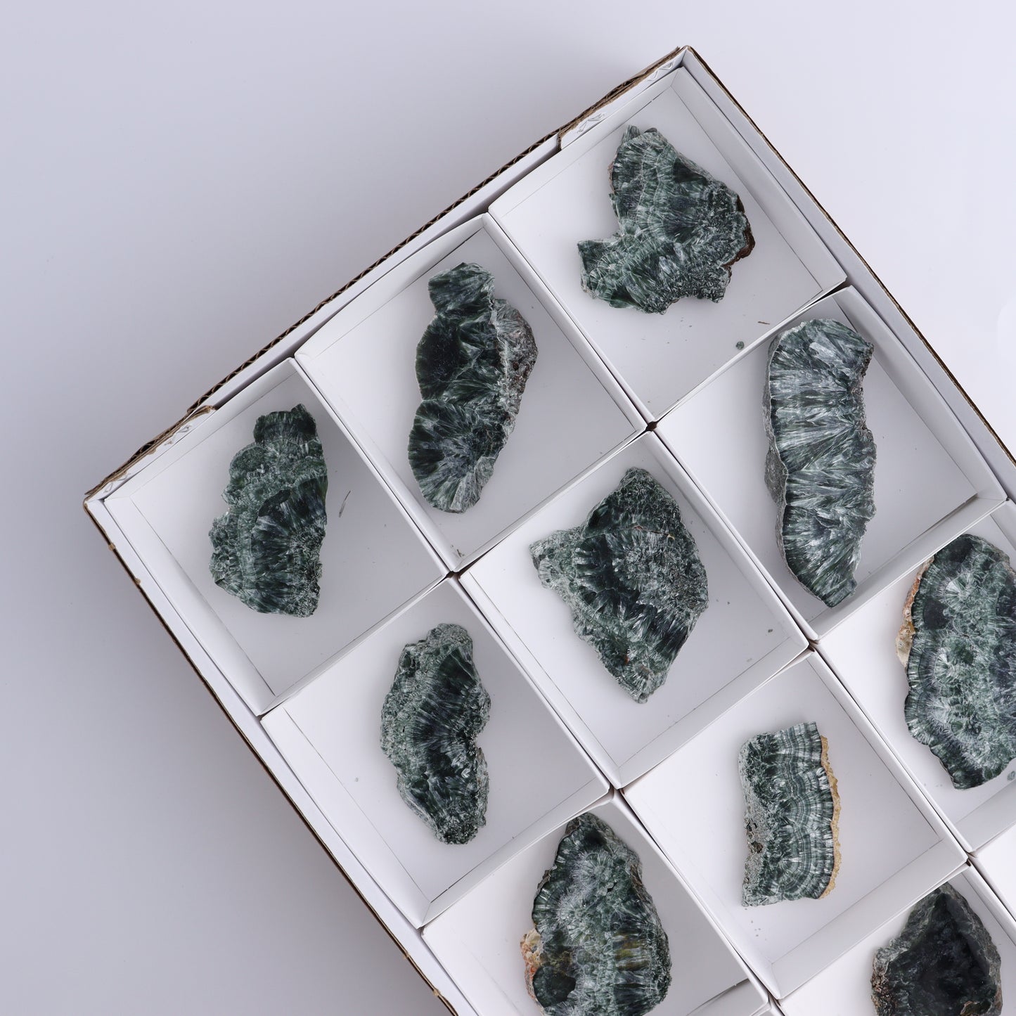 Seraphinite Slices Set of 12 - Expert Wholesale and Supplier of Wholesale Crystals & Bulk Gemstones, ["Seraphinite","Slices and Slabs"]