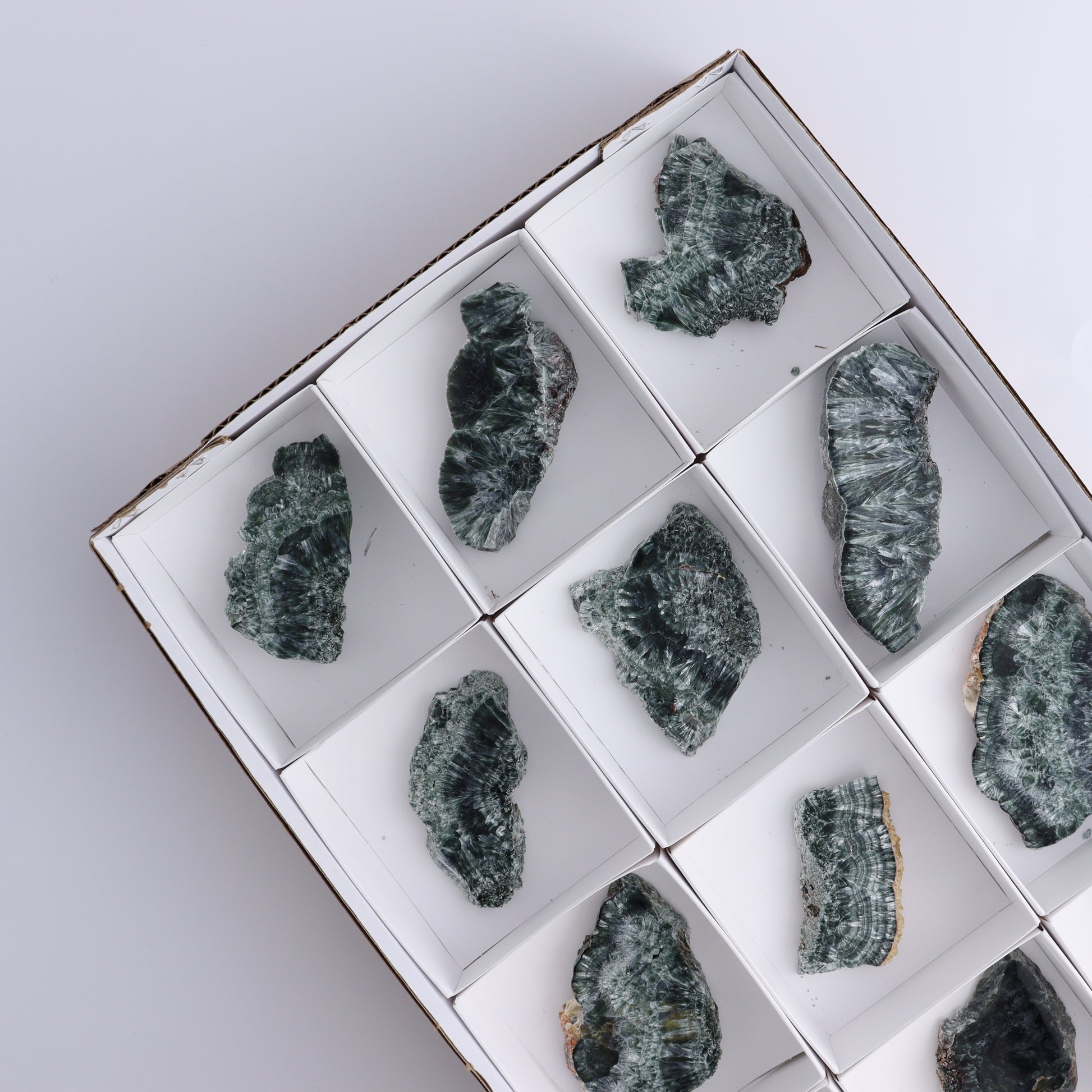 Seraphinite Slices Set of 12 - Expert Wholesale and Supplier of Wholesale Crystals & Bulk Gemstones, ["Seraphinite","Slices and Slabs"]
