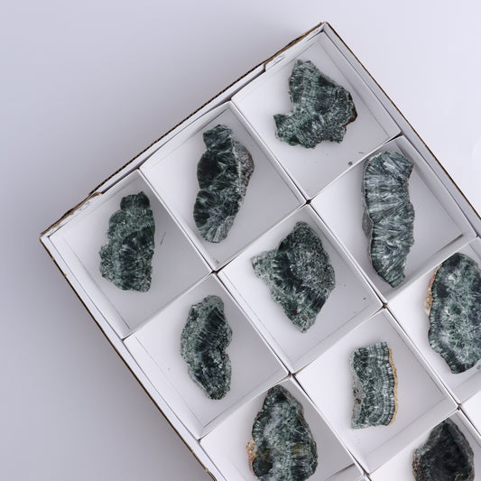 Seraphinite Slices Set of 12 - Expert Wholesale and Supplier of Wholesale Crystals & Bulk Gemstones, ["Seraphinite","Slices and Slabs"]