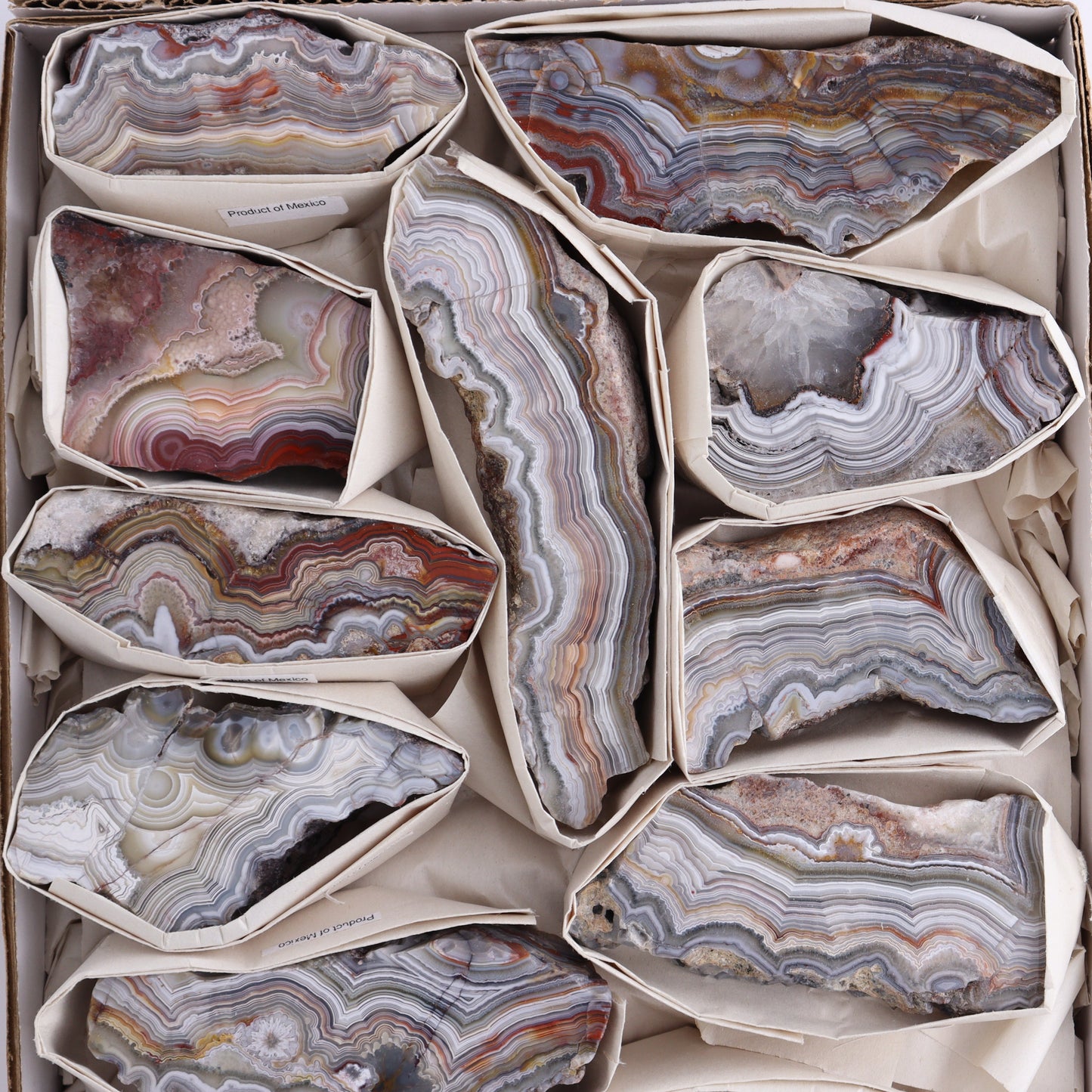 Crazy Lace Agate Flat of 12 - Expert Wholesale and Supplier of Wholesale Crystals & Bulk Gemstones, ["Crazy Lace Agate","Mexico"]