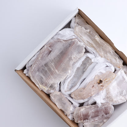 Selenite from Chihuahua Set of 7