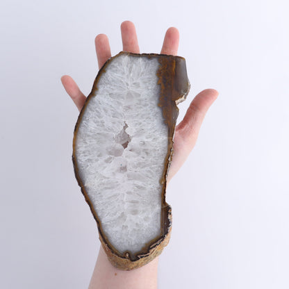 Agate Slices Set of 5 - Expert Wholesale and Supplier of Wholesale Crystals & Bulk Gemstones, ["Agate","Brazil","Slices and Slabs"]