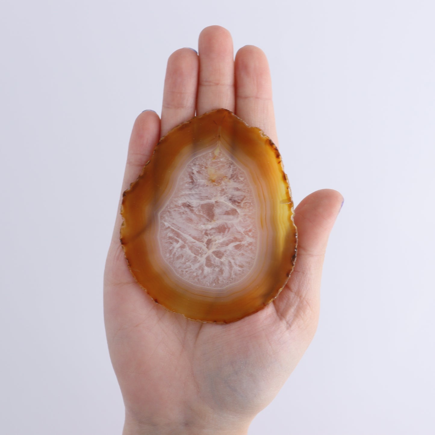 Iris Agate Slices Set of 5 - Expert Wholesale and Supplier of Wholesale Crystals & Bulk Gemstones, ["Agate","Iris Agate","Slices and Slabs"]