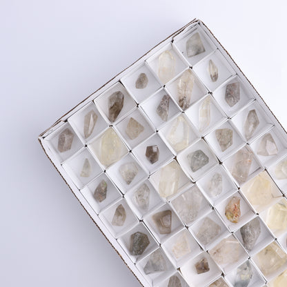 Quartz with Inclusions Feeforms Set of 54