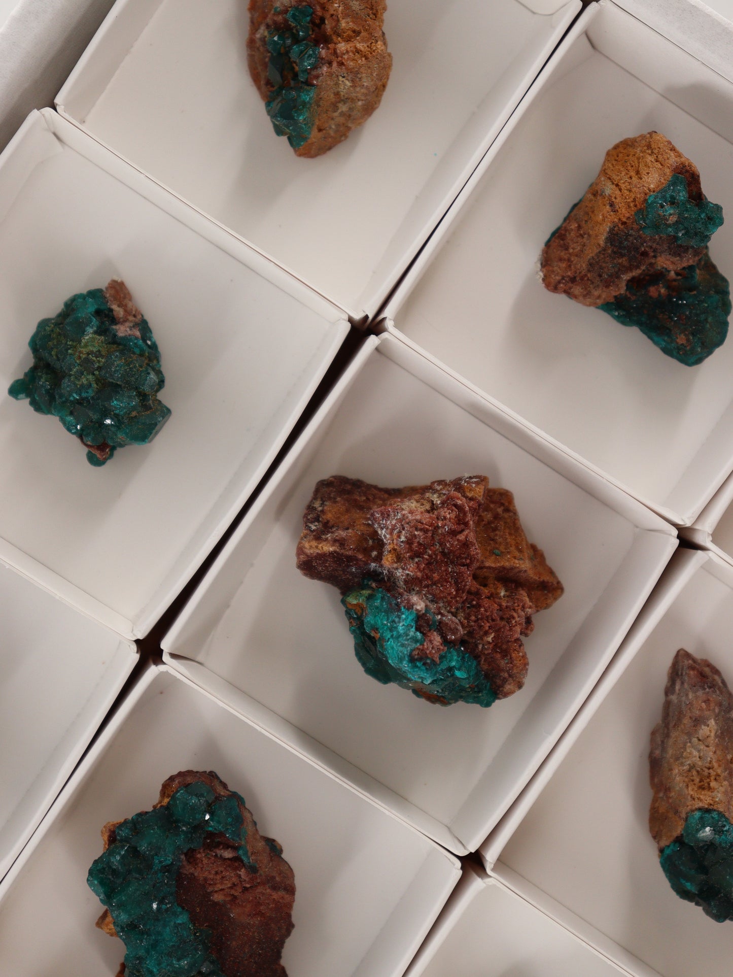 Dioptase Flat Set of 12