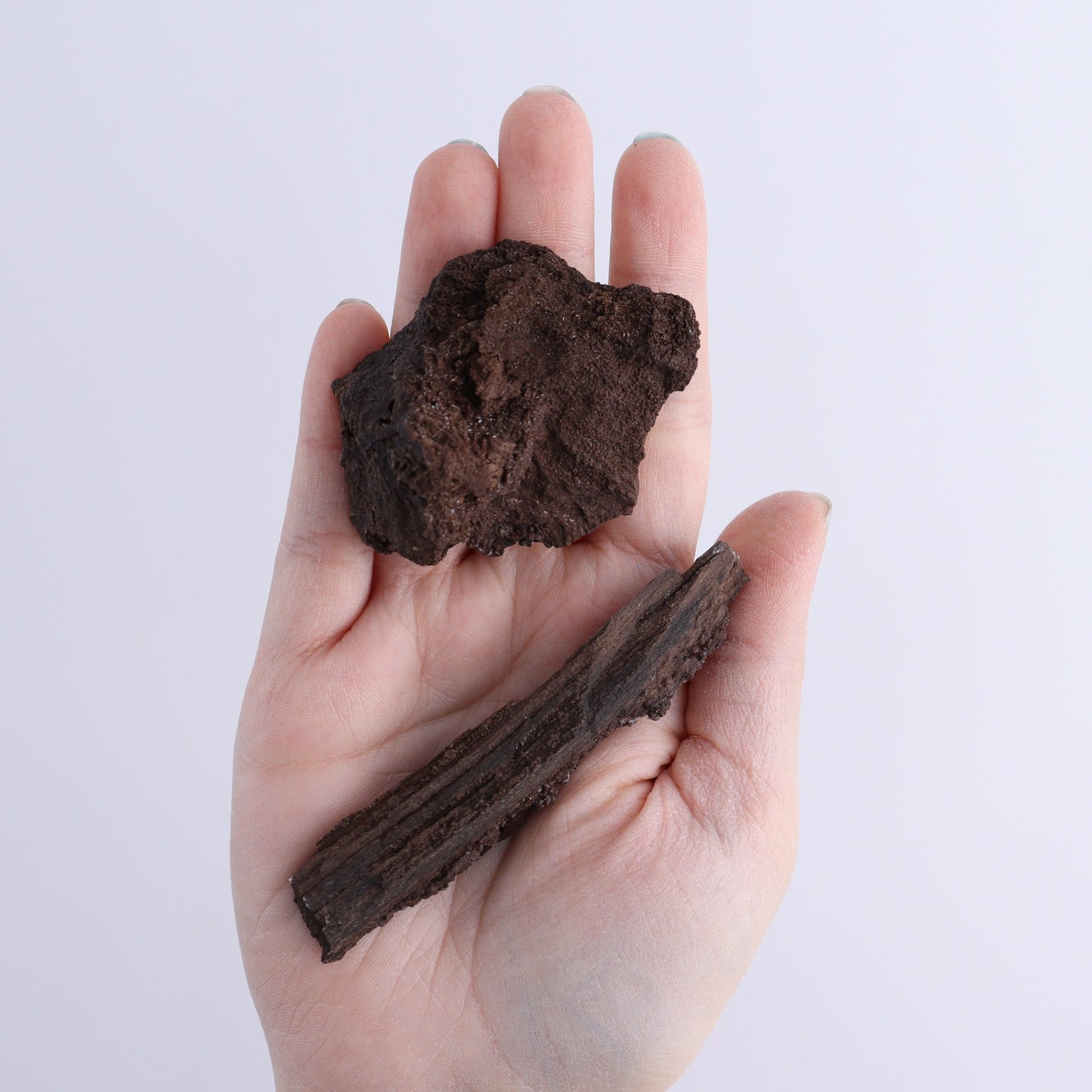 Permineralized Wood Flat of 24 - Expert Wholesale and Supplier of Wholesale Crystals & Bulk Gemstones, ["Flats","Germany","Permineralized Wood"]