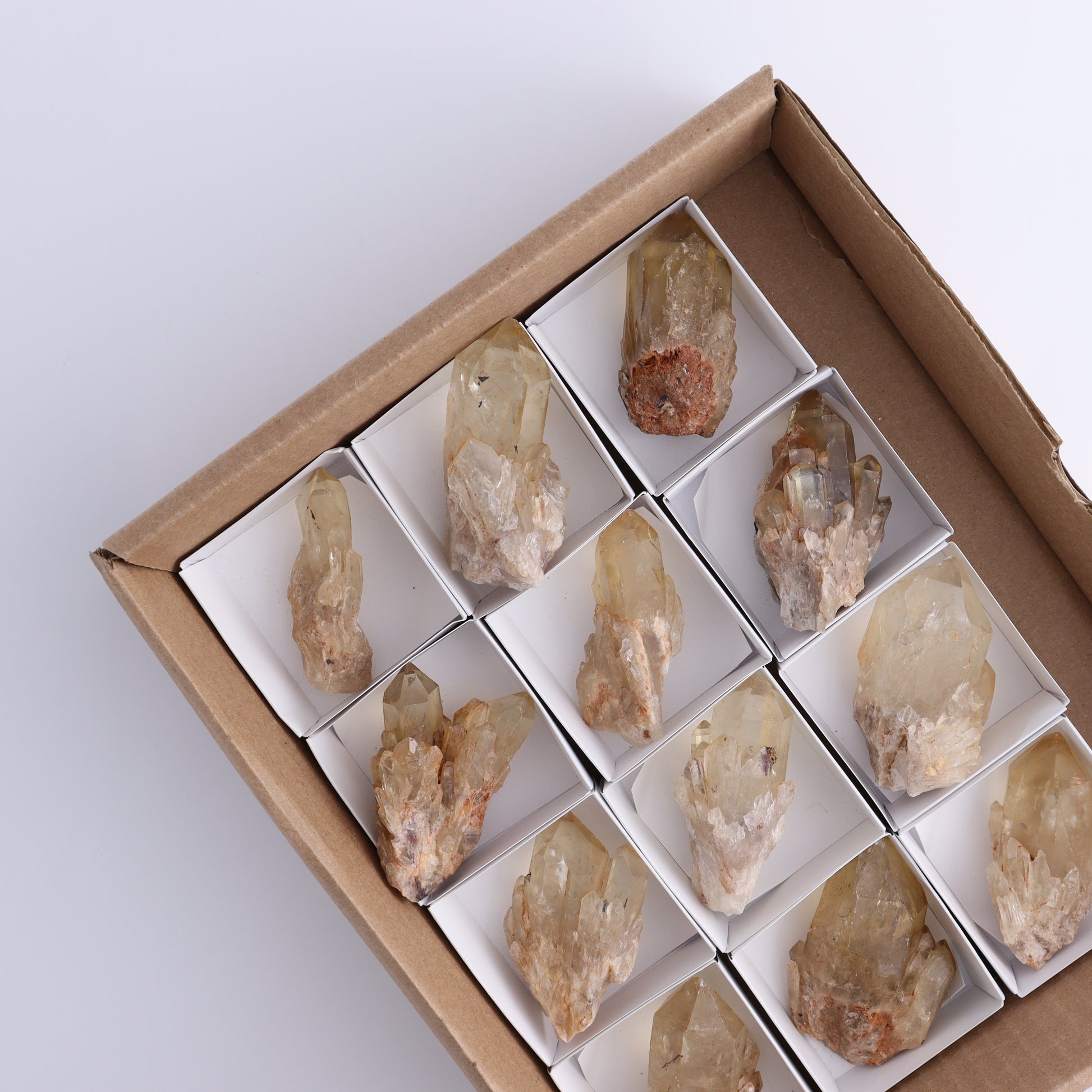 Congo Citrine Set of 12 - Expert Wholesale and Supplier of Wholesale Crystals & Bulk Gemstones, ["Citrine","Congo","Rough","Roughs"]