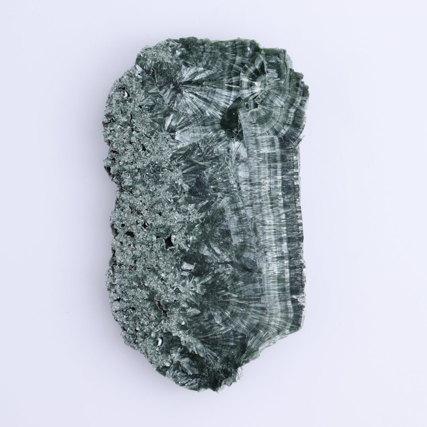 Seraphinite Slices Set of 4 - Expert Wholesale and Supplier of Wholesale Crystals & Bulk Gemstones, ["Russia","Seraphinite","Slices and Slabs"]