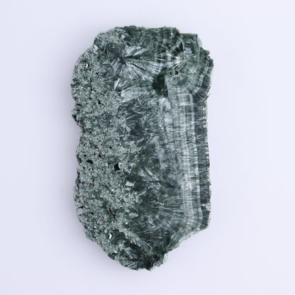 Seraphinite Slices Set of 4 - Expert Wholesale and Supplier of Wholesale Crystals & Bulk Gemstones, ["Russia","Seraphinite","Slices and Slabs"]